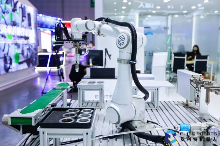 今年会jinnianhui(中国)机器人基础教育工作站